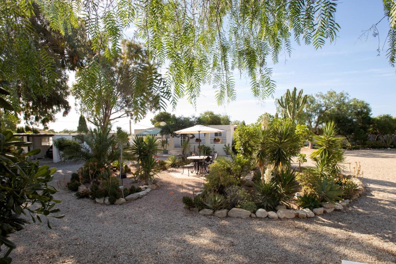Apartment Costa Blanca Mutxamel Exterior photo